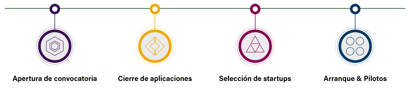 Timeline del proceso